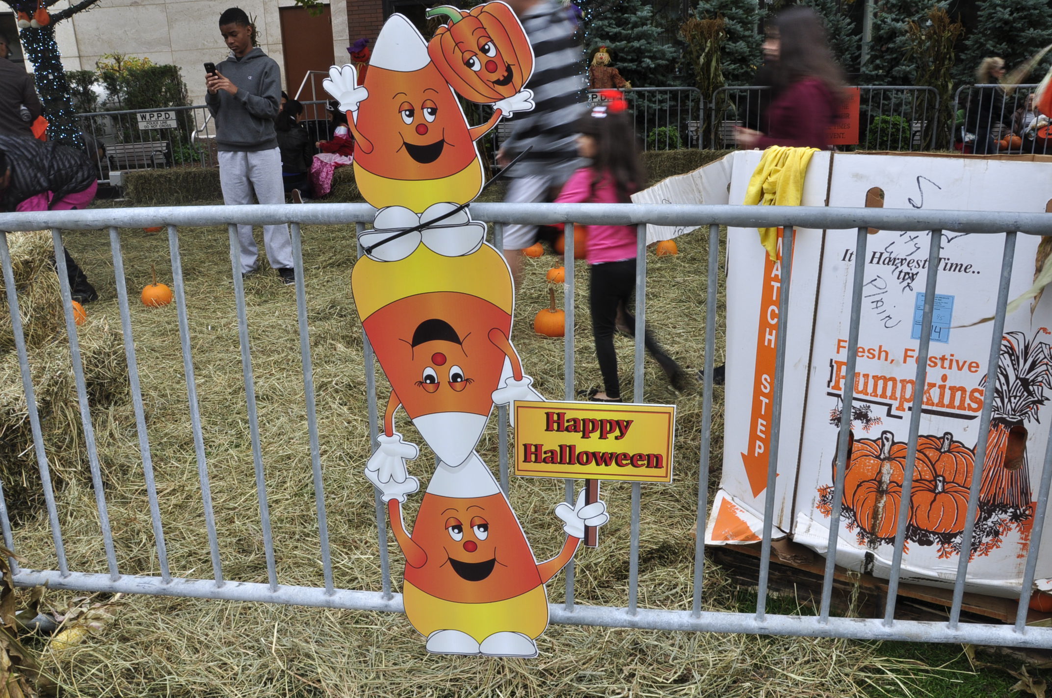 Halloween event and Foliage 076